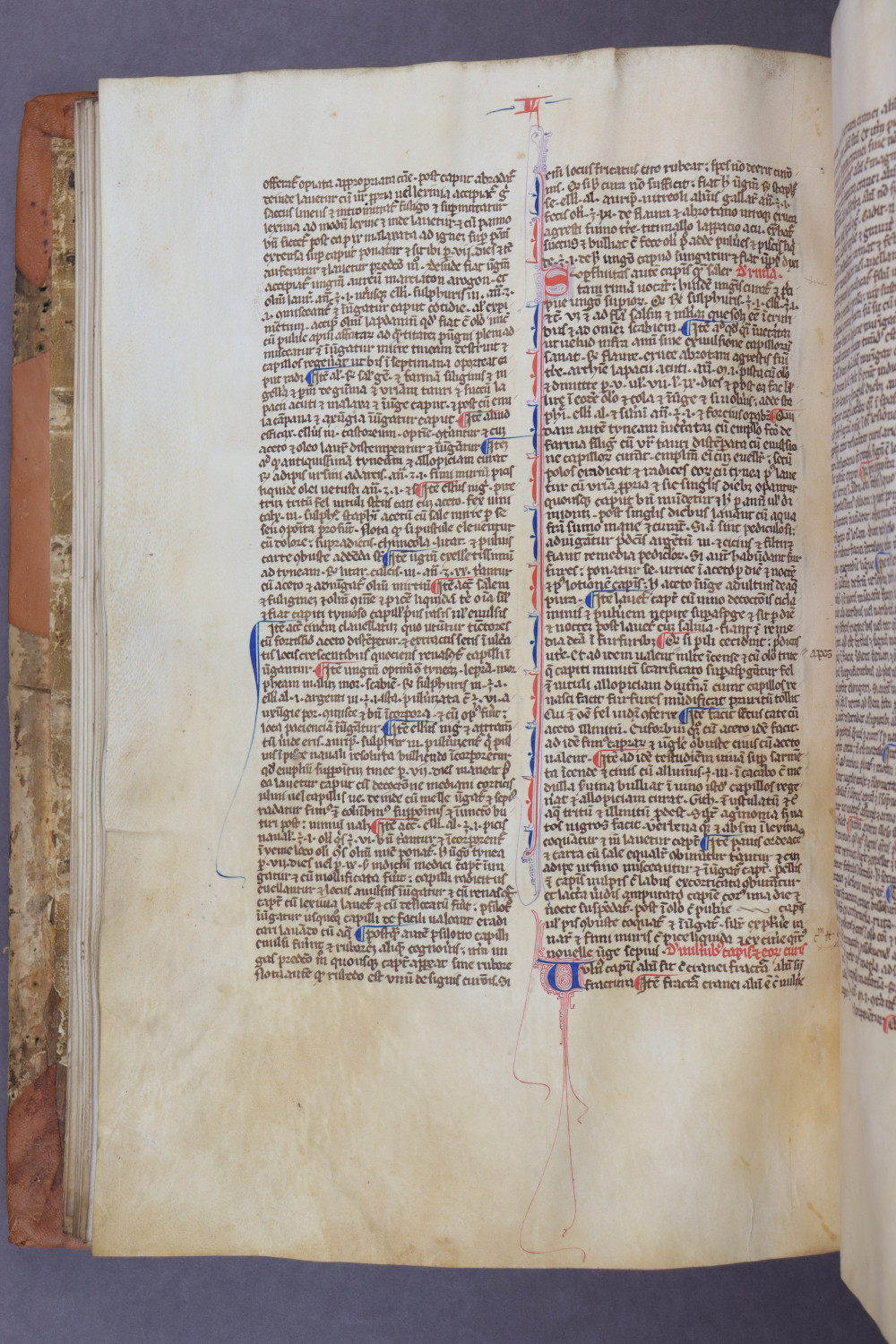 Folio 36 verso